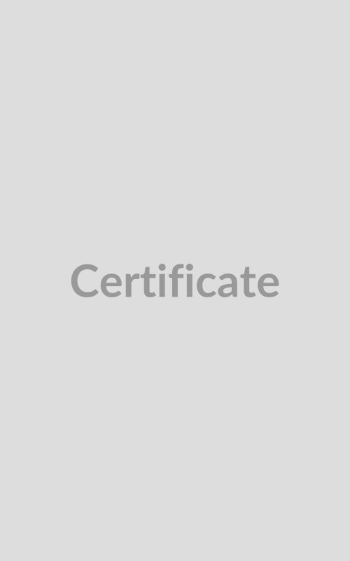 Certificate 500x800